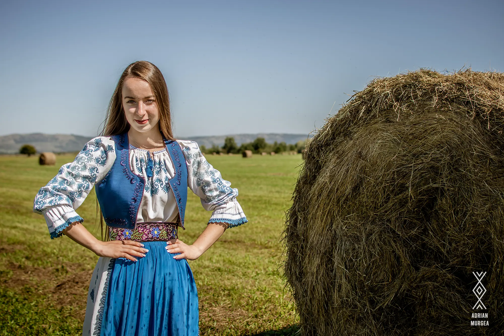 Voivodenii Mari, Țara Făgărașului, Acasă, la origini