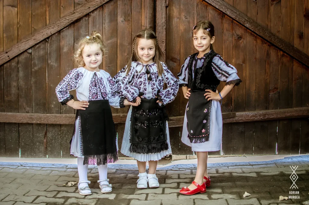 Voivodenii Mari, Țara Făgărașului, Acasă, la origini